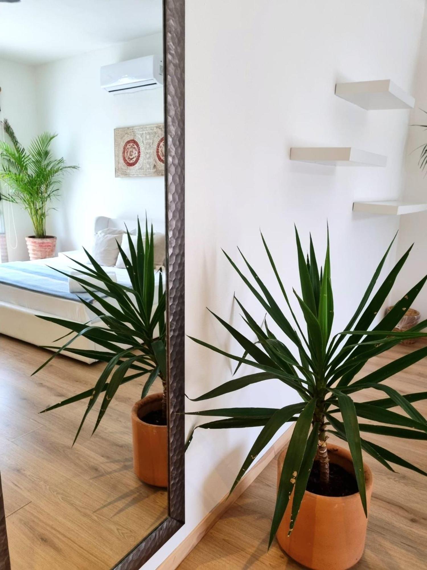 Chill Inn Hostel Tulum Zewnętrze zdjęcie